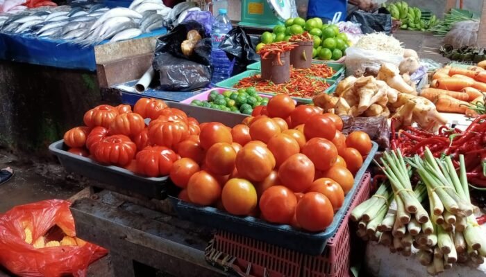 Pedagang Keluhkan Harga Tomat yang Melonjak di Makassar