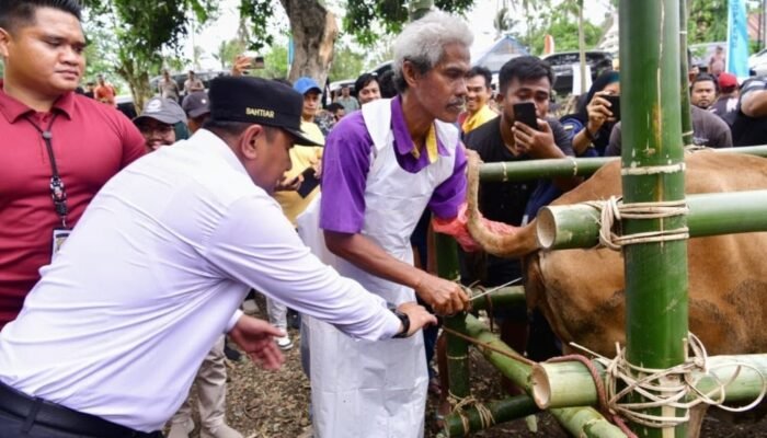 Peternak di Soppeng Terima Bantuan Rp2 M