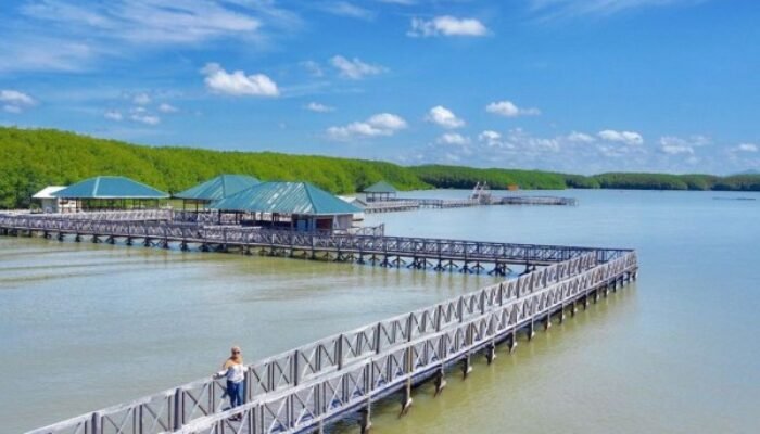 potret pesona Hutan Mangrove Tongke-Tongke