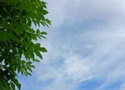 Prakiraan Cuaca Sulsel Besok, Pagi Cerah Siang dan Malam Hujan