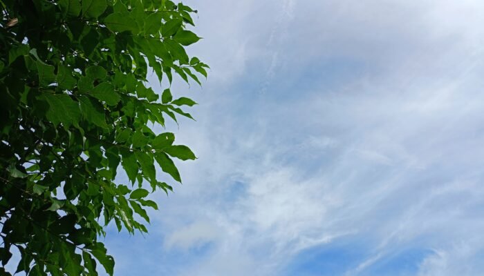 Prakiraan Cuaca Sulsel Besok, Pagi Cerah Siang dan Malam Hujan