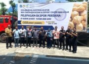 10,2 Ton Kemiri asal Sidrap Diekspor ke Arab Saudi