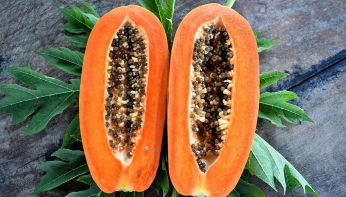 Kandungan Daun Pepaya, Obat Alami Cocok Atasi Penyakit DBD