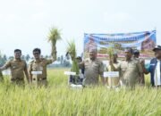 Dibawah Kepemimpinan Irwan Hamid Begini Prospek Infrastruktur Pertanian di Pinrang