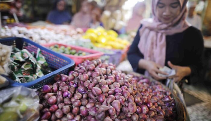 Harga Bawang Merah Akan Normal Mei