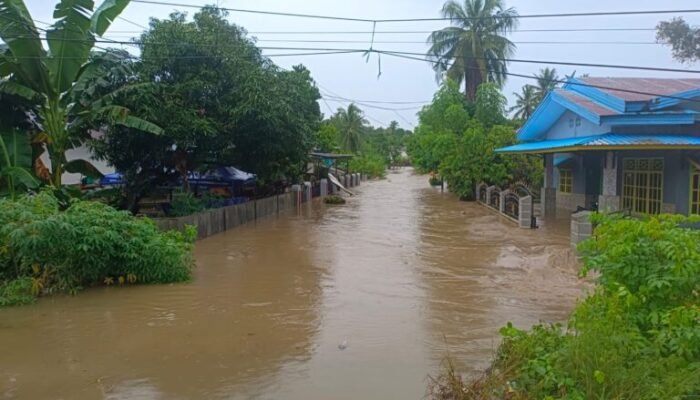 Banjir Melanda 4 Desa di Bone, 7.682 Warga Terdampak