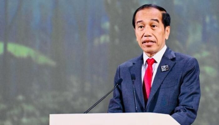 Jokowi Ingatkan Ancaman Kekeringan Berdampak ke Inflasi