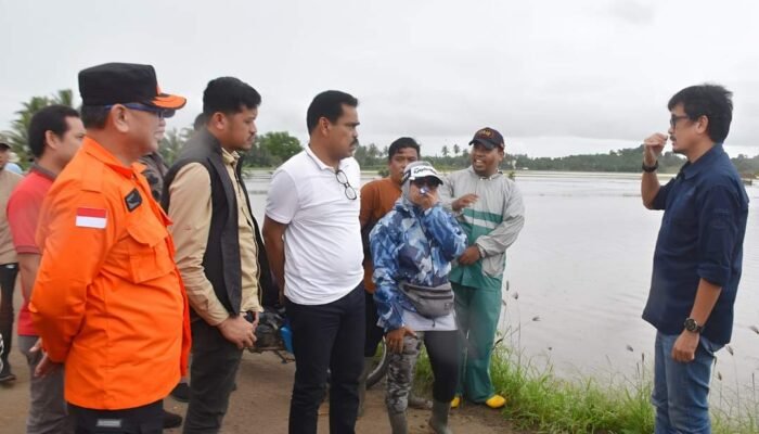 Mengawali Tugas, Pj Bupati Pinrang Pantau Lokasi Bencana Banjir