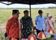 Brigjen TNI Dwi Endro Sasongko Kunjungi Pinrang, Tinjau Kegiatan Optimalisasi Lahan Rawa