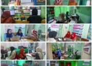 Implementasi Telemedicine Puskesmas Mattiro Deceng Menuju Pelayanan Kesehatan Paperless