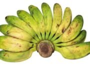 Menggali Keistimewaan Pisang Kepok, Lebih Dari Sekadar Buah