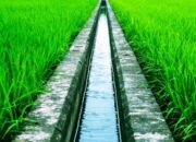 Kepala Seksi Pemeliharaan Dinas SDABK Pinrang Beberkan Fungsi Irigasi Pertanian