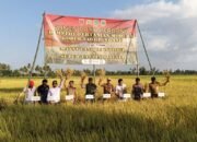 Gunakan Demplot Modern Sukses Tingkatkan Produktivitas Pertanian di Pinrang