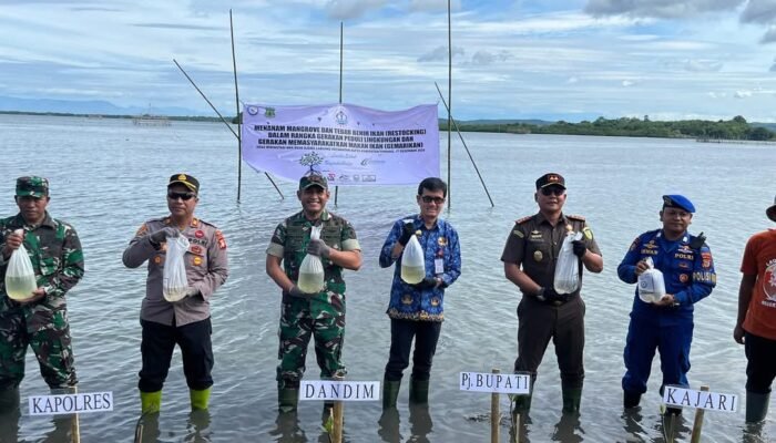 Sekda Pinrang Tanam Mangrove Dan Tebar Benih Ikan Di Pesisir Pantai Lero