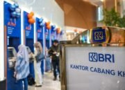 Tabel Pinjaman KUR BRI dan Non KUR 2025