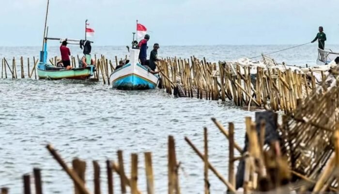 Profil Dua Perusahaan Pemilik SHGB Pagar Laut di Tangerang