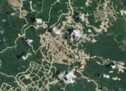 Penampakan IKN dari Langit Sudah Berubah Drastis, Begini Bocoran NASA