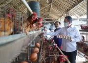 Mendag Susun Strategi Jika Trump Terapkan Bea Masuk Tinggi ke RI