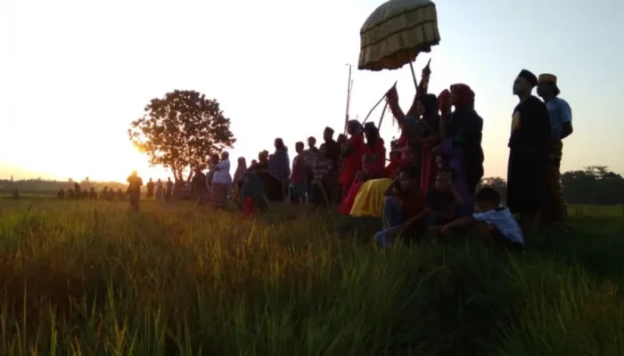 Katto Bokko Upacara Adat Panen Raya Tetap Hidup di Maros