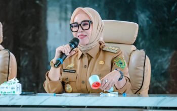 Bupati Barru, Andi Ina Kartika Sari (IST)