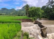 Bendungan Padang Batulappa Rusak Parah, Ratusan Hektar Sawah Terendam