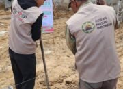 DMI Selesaikan Pembangunan Masjid Semi Permanen Kedua di Jalur Gaza