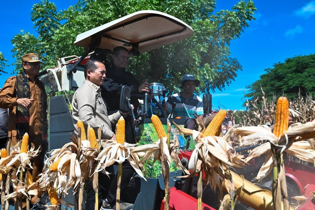 Menteri Pertanian Republik Indonesia, Dr. Andi Amran Sulaiman, bersama Gubernur Nusa Tenggara Barat (NTB) Dr. Lalu Muhamad Iqbal serta jajaran pemerintah daerah, melaksanakan panen raya jagung di Samota, Kabupaten Sumbawa, Senin (21/4/2025).