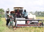 Pinrang Ikut Panen Raya Nasional 2025 bersama 157 Daerah di Indonesia