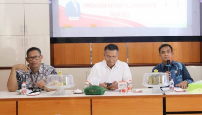 Penguatan Ekonomi Lokal 69 Desa di Pinrang Siap Bentuk Kopdes