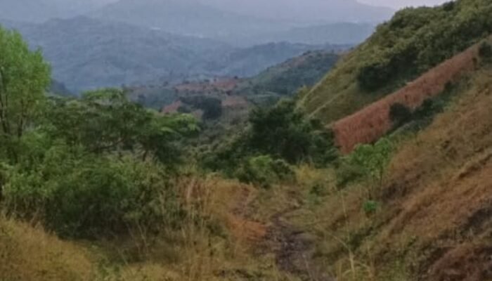 Dana Desa Kaseralau Capai Rp1M, Warga Harapkan Pembangunan Transparan dan Tepat Sasaran