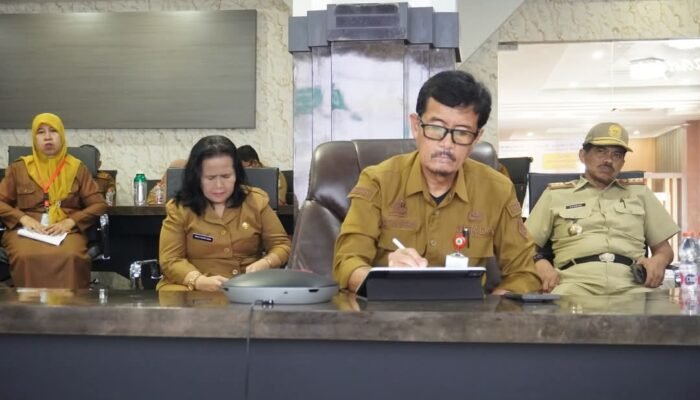 Pinrang Siap Dukung Program RS KJSU, Sekda: Pemenuhan SDM Kesehatan Jadi Prioritas