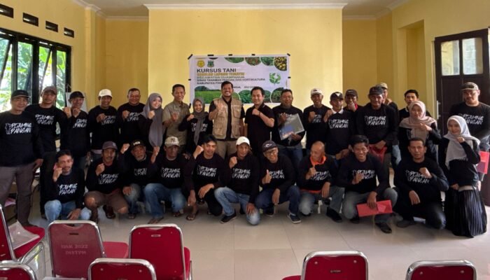 Dinas TPH Pinrang Dorong Petani Mandiri Melalui Sekolah Lapang Tematik