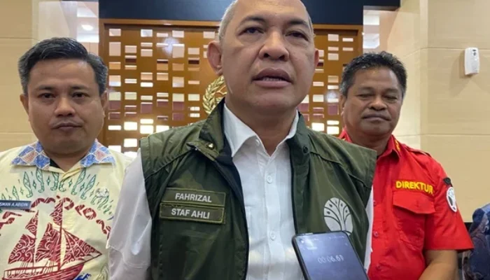 311 Hektar Lahan Pertanian di Pinrang Terbakar 2025