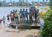 Plt Kadis SDABK Bersama Sekda Pinrang Pantau Sawah Terdampak Banjir