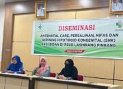RSUD Lasinrang Gelar Diseminasi ANC, INC, PNC, dan SHK untuk Bidan