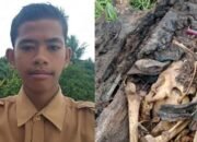 Unggahan Media Sosial Muhammad Yuda Jadi Petunjuk Kerangka di Pohon Aren Serdang Bedagai