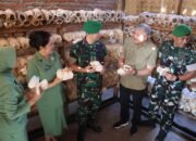 Sinergi Pemkab Pinrang-TNI Perkuat Ketahanan Pangan Nasional