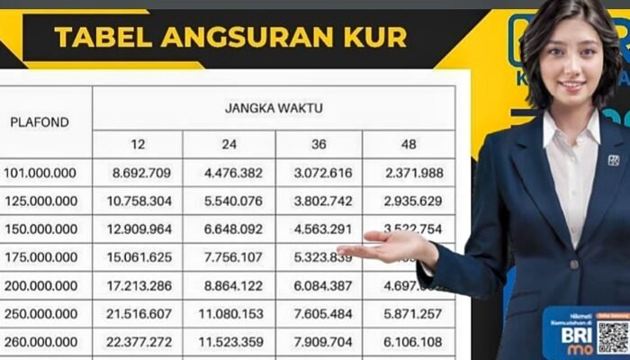 KUR BRI 100 Juta 2025: Peluang Modal Usaha dengan Proses Cepat dan Angsuran Terjangkau