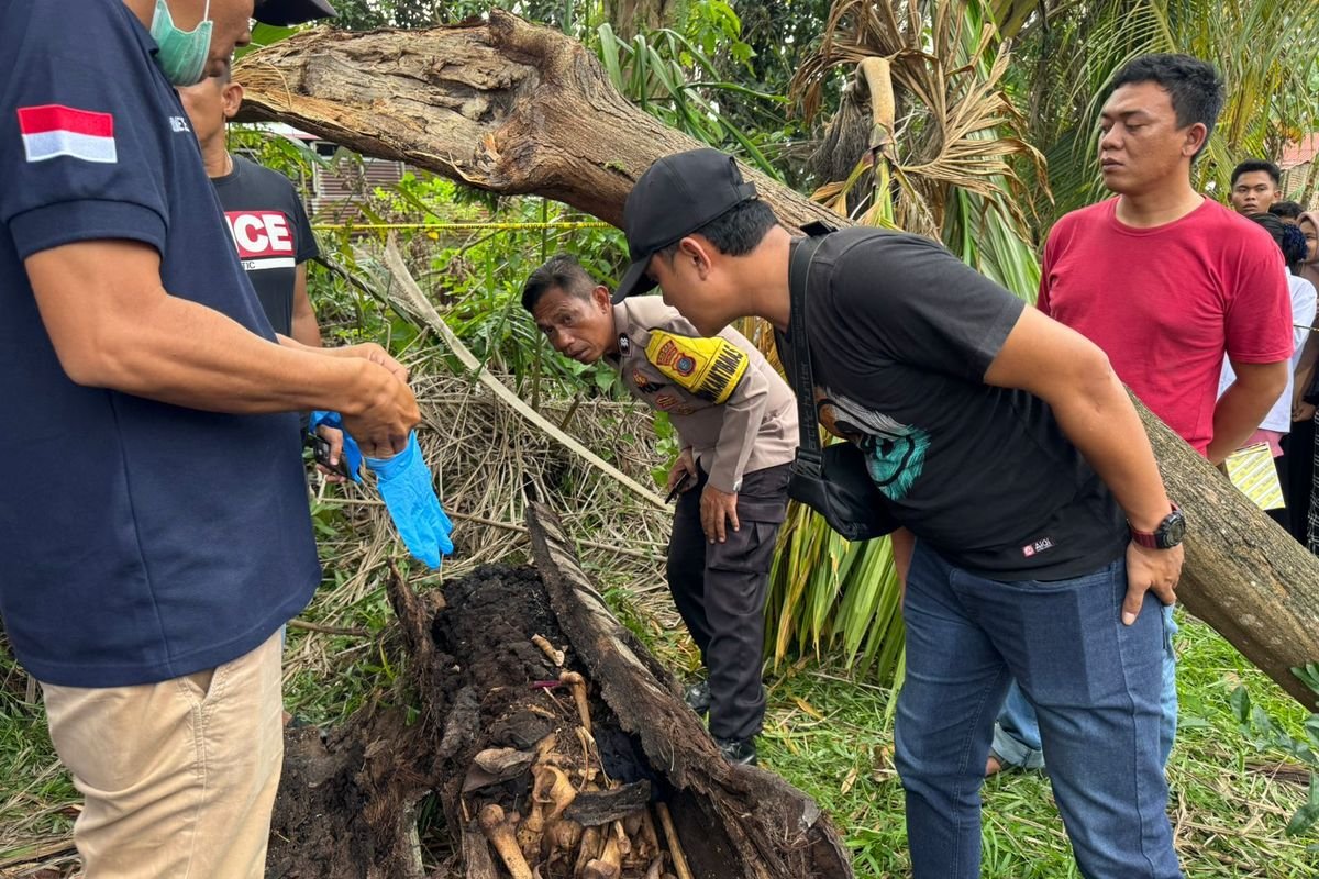 Kerangka Manusia Ditemukan dalam Batang Pohon Aren, Diduga Korban Pembunuhan - angindai.com