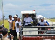 Plt Kadis SDABK Dampingi Gubernur Sulsel Panen Raya Padi di Padakkalawa