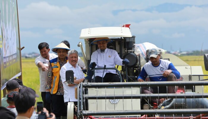 Plt Kadis SDABK Dampingi Gubernur Sulsel Panen Raya Padi di Padakkalawa