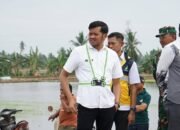 Kadis TPHP Dampingi Bupati Pinrang Kawal Normalisasi Saluran Irigasi Suppa untuk Amankan Musim Tanam Apsep