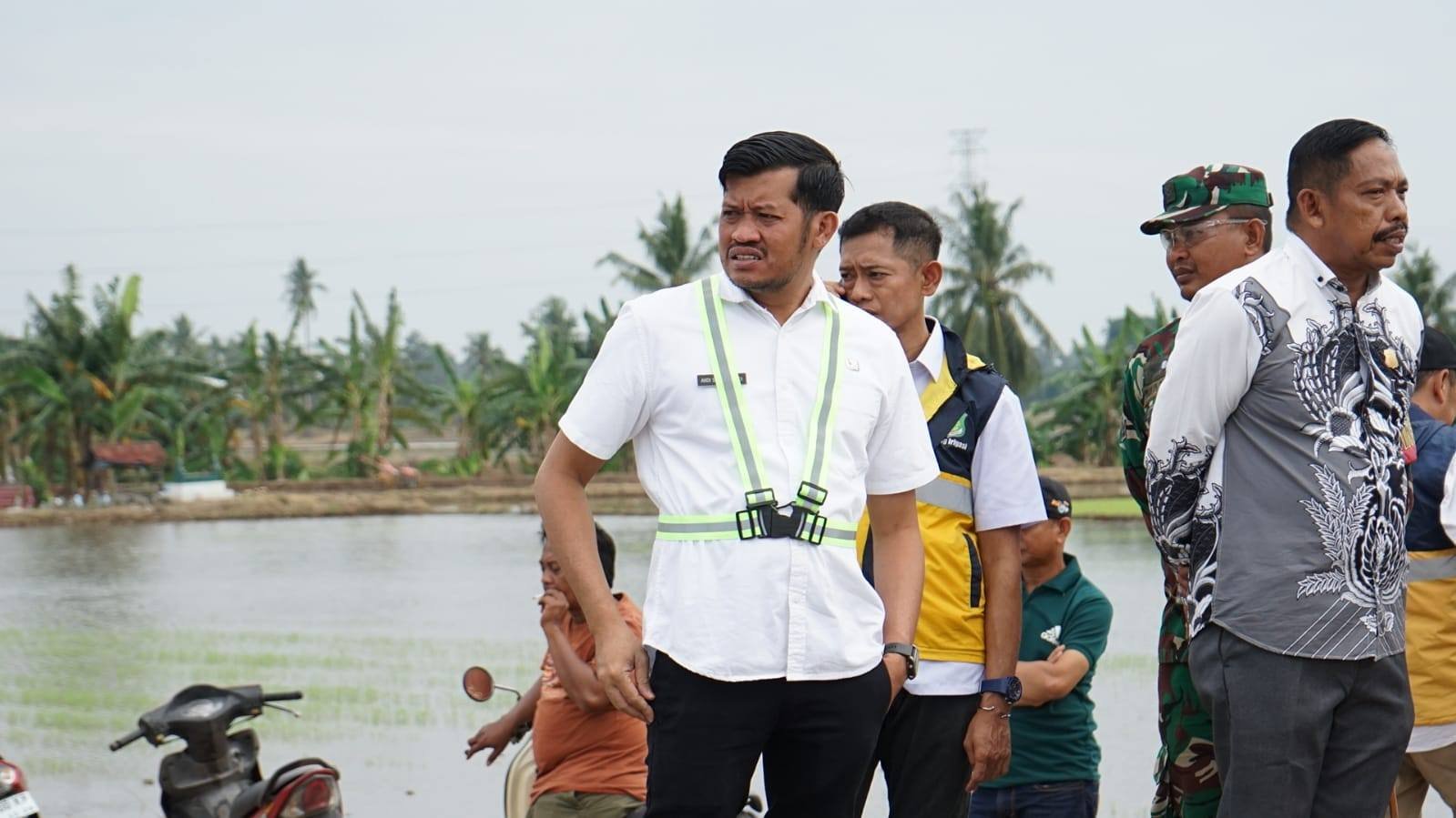 Pemerintah Kabupaten Pinrang serius benahi jaringan irigasi. Bupati Andi Irwan Hamid pantau langsung galian sedimentasi saluran Suppa sepanjang 8 KM, proyek BBWS Pompengan Jeneberang, demi kelancaran musim tanam April-September dan ketahanan pangan nasional.