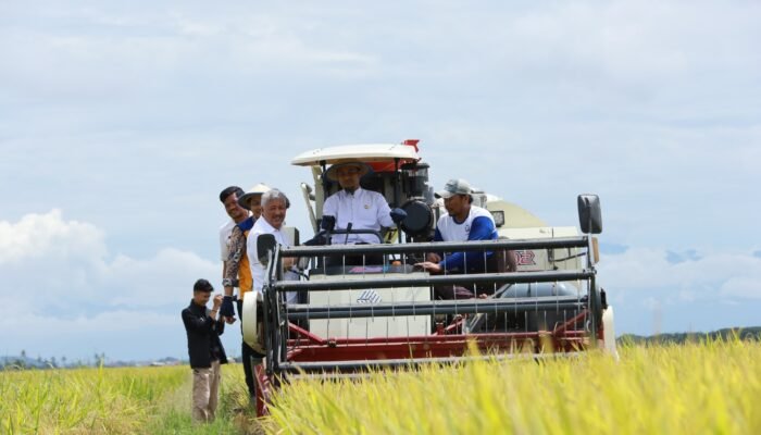 Gubernur Sulsel Apresiasi Peran Strategis Pinrang sebagai Penyangga Pangan