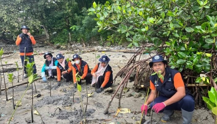 Mangrove Jadi Benteng Alami, Upaya Nyata Lindungi Pesisir Suppa dari Abrasi