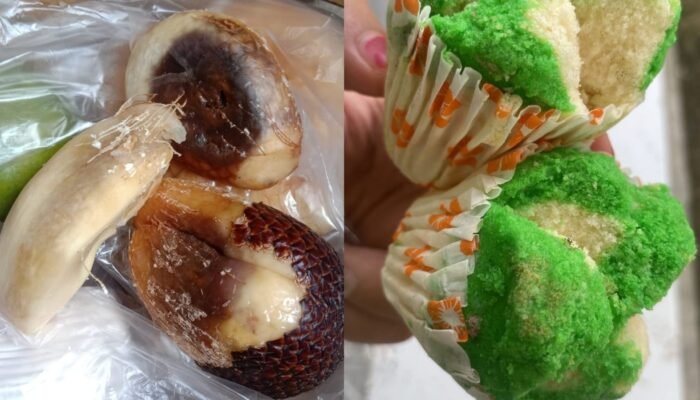 Menu MBG Balita hingga Ibu Hamil di Pinrang Rusak dan Berjamur