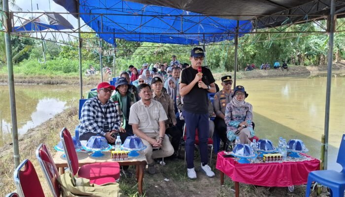 Dukung Swasembada Pangan, Pinrang Gelar Gerakan Tanam Serempak di Lahan Oplah dan CSR