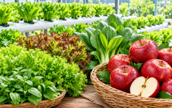 Studi Ungkap Buah dan Sayur Segar Terkontaminasi Mikroplastik Tingkat Tinggi