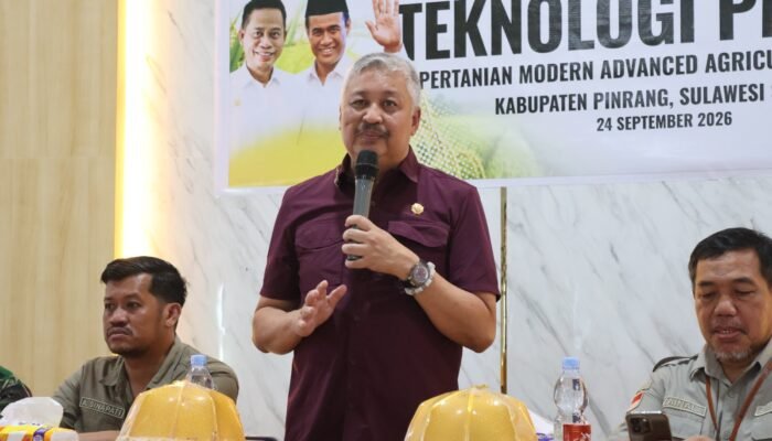 Strategi Pemkab Pinrang Atasi Dampak Kemarau Panjang di Sektor Pertanian