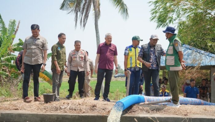 Antisipasi Dampak Kemarau Panjang Pemkab Pinrang Dorong Pompanisasi